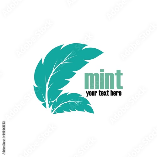 Mint leaves flat vector color icon