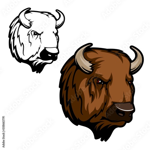 American bison or buffalo animal vector design of hunting club, sport team or zoo mascot. Head of wild ox bull with brown fur and horns, hoofed and horned mammal themes