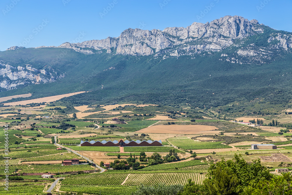 Laguardia, Spain. Scenic landscape: vineyards and mountains