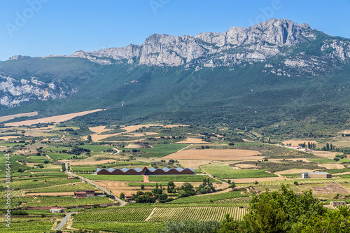 Laguardia, Spain. Scenic landscape: vineyards and mountains