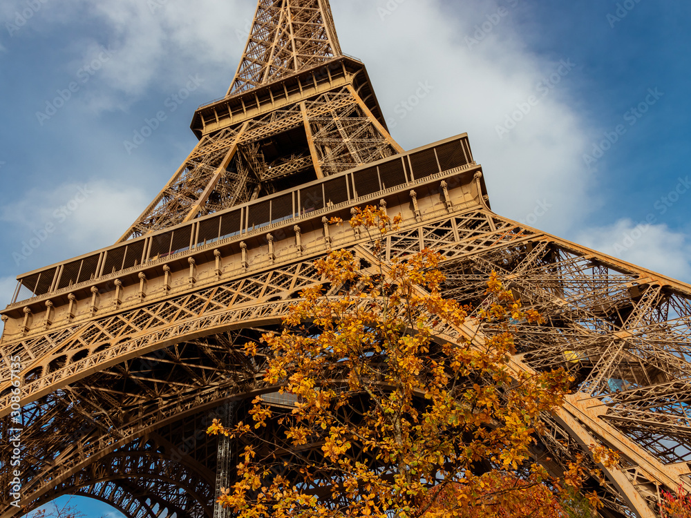 Eiffel tower with autumn leaves in Paris, France