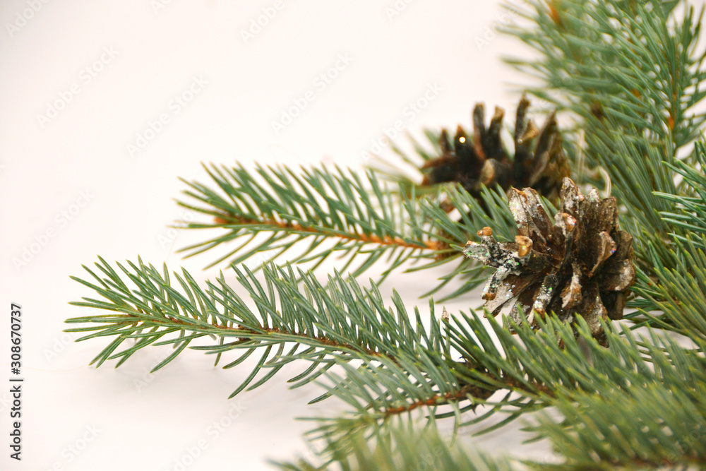 christmas pine cone christmas pine cone