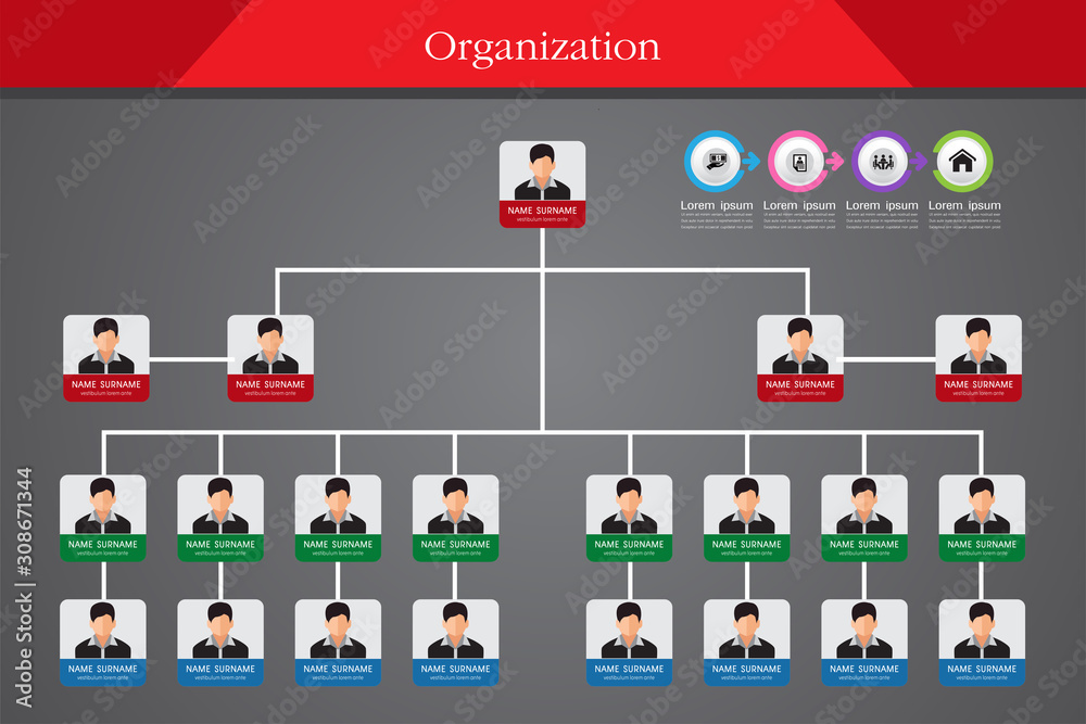 Organization Chart Infographics