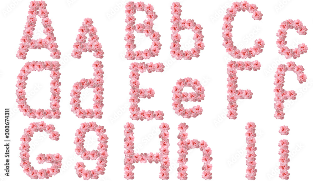 English alphabet from flowers of pink roses, letter A,B,C,D,E,F,G,H,I
