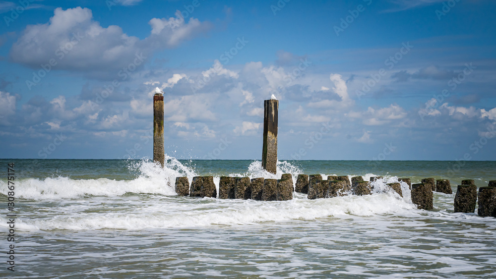 Fototapeta premium Splashing waves of the North Sea on the wooden breakwaters of the Dutch coast