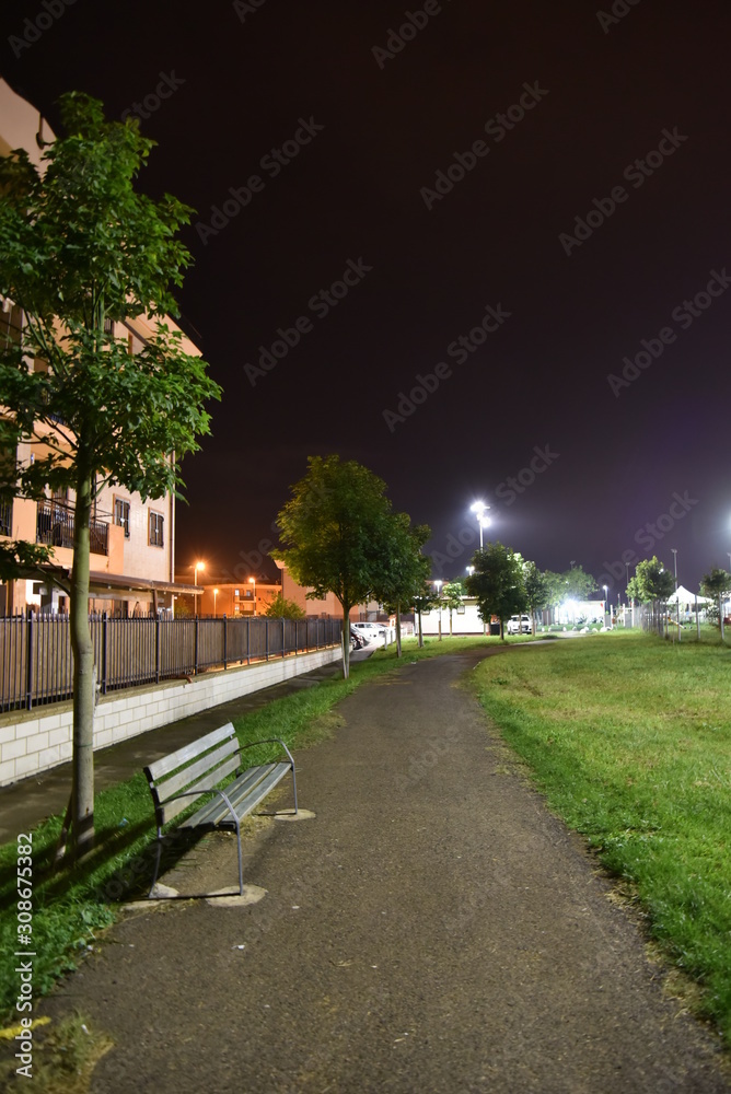 Obraz premium Park by Night with Bench Illuminated by Lamps