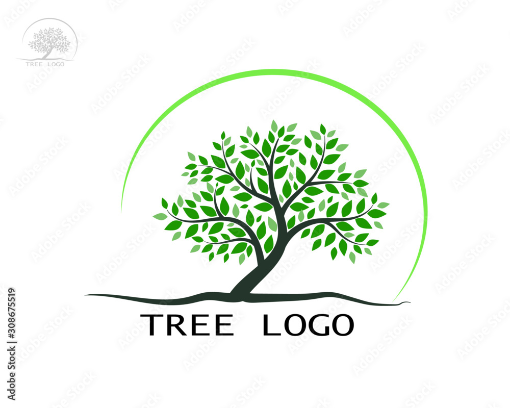 Obraz premium tree with green leaves