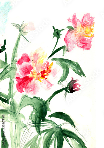 Fototapeta Naklejka Na Ścianę i Meble -  delicate pink airy peonies in watercolor