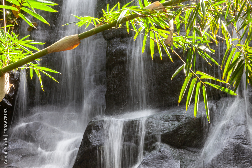 detail view of bamboo leaves with waterfall in bali indonesia
