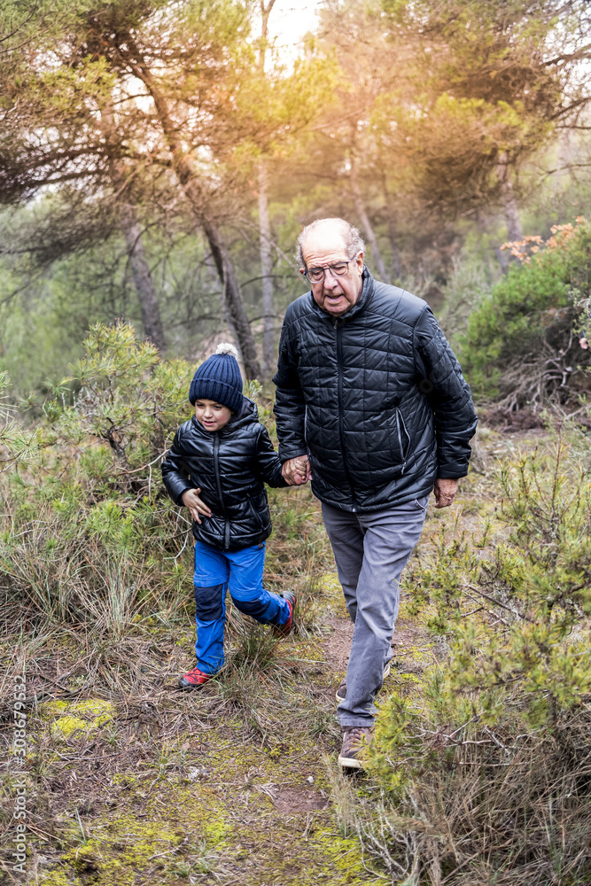 Grandfather and grandson in a forest on a foggy day Grandfather and grandson in a forest on a foggy day