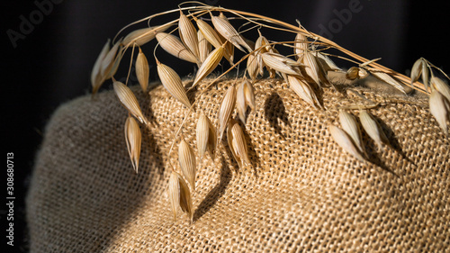 spikelets with grain on burlap background