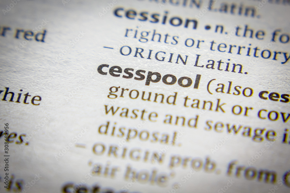 Word or phrase Cesspool in a dictionary. Word or phrase Cesspool in a dictionary.