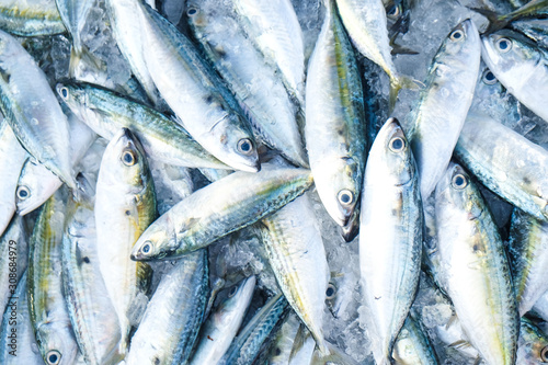 Fresh tuna fish background sell in seafood market © themorningglory