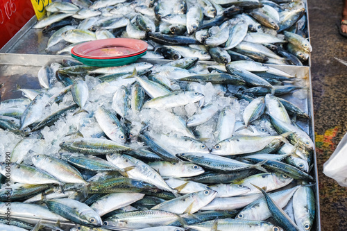 Photography Fresh tuna fish background sell in seafood market