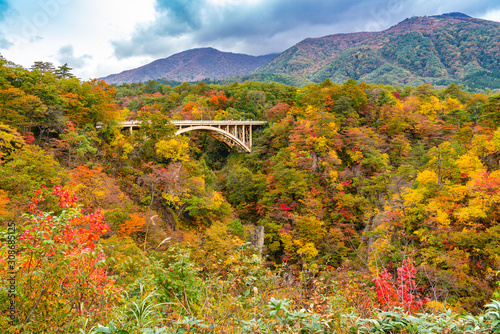 Beautiful autumn color of foliage at Naruko Gorge with Ofukazawa Bridge in the city of Naruko, Miyagi Prefecture, Japan. photo