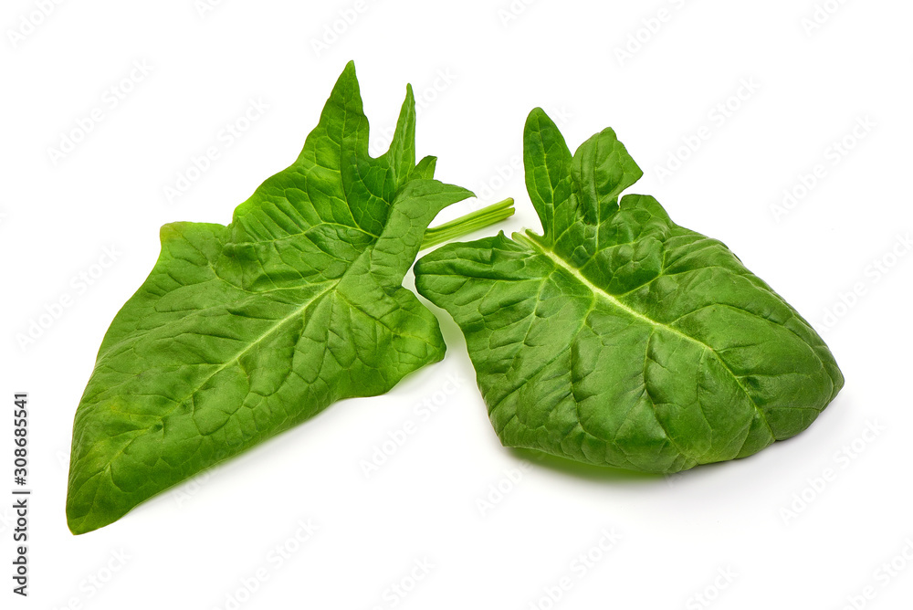 Spinach leaves, isolated on white background Spinach leaves, isolated on white background
