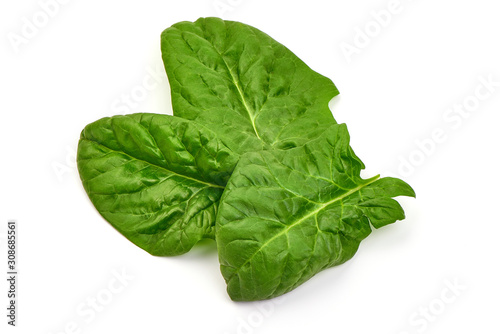 Spinach leaves, isolated on white background