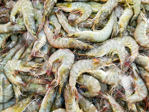 Fresh shrimp or prawn in seafood market background