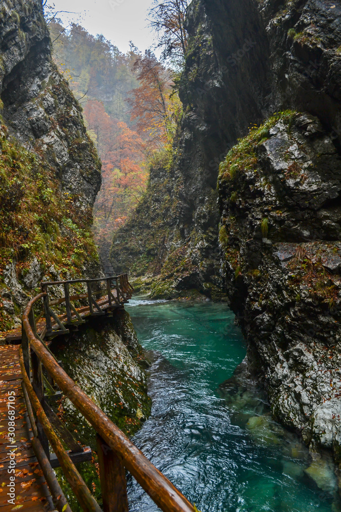 Vintgar gorge in Slovenia Vintgar gorge in Slovenia