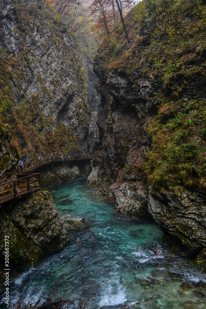 Vintgar gorge in Slovenia