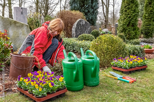 Принти на полотні Planting Pansies on a Grave in Spring