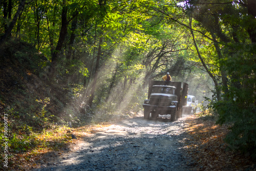 Loggin truck going down a dusty dirt path through a forest, rays oozing through the forest foliage