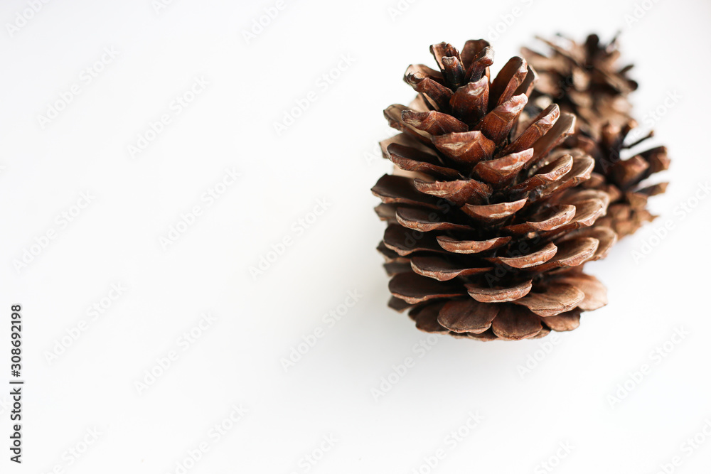 Pine cones on white background. Decorative element. Pine cones on white background. Decorative element.