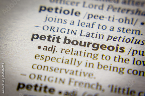 Word or phrase Petit bourgeois in a dictionary.