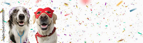Banner two dogs celebrating carnival, halloween, new year dressed as a veterinarian and hero with red mask, cape costume. Isolated on white background with confetti falling
