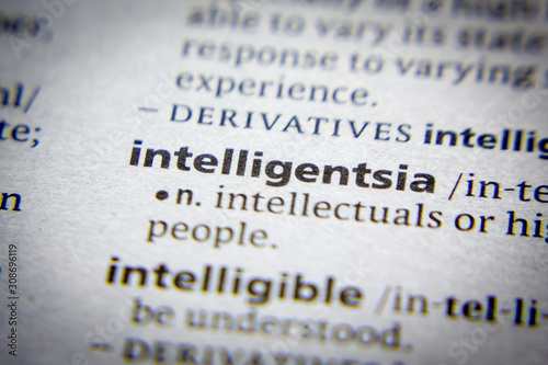 Word or phrase Intelligentsia in a dictionary.