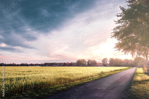 Feld bei Sonnenuntergang