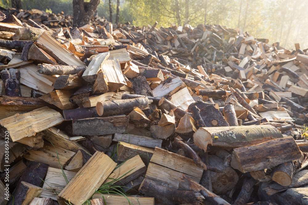 forest glade flooded with light, wood logs are scattered everywhere, the sun rises on a forest hill forest glade flooded with light, wood logs are scattered everywhere, the sun rises on a forest hill