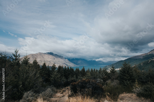 Amazing view from Queenstown hills with snow capped mountains and pine forest.