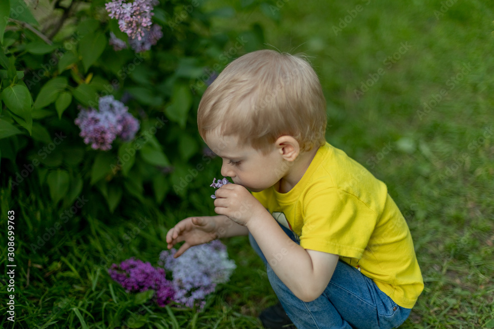The child sniffs lilac flowers. Boy in a yellow T-shirt. Spring, summer, greenery, relaxation.