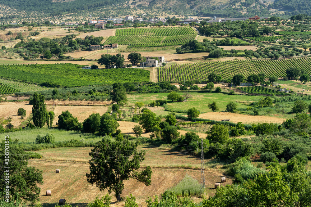 Summer landscape in Calabria, Italy, near Castrovillari
