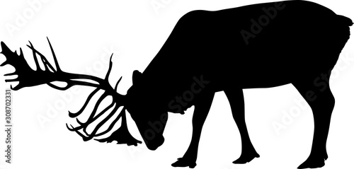 one reindeer silhouette isolated on white