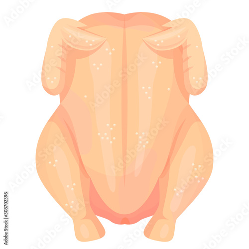 Raw chicken carcass flat vector color illustration