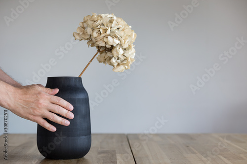 Human hands put a ceramic vase with a dry hydrangea flower on a wooden table.