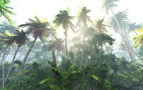 palm jungle in the morning in fog  forest in haze. 3d rendering.