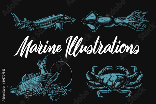 Tableau sur toile Set of vector marine illustrations with sturgeon, squid, crab and fishing boat