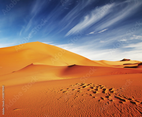 Sahara Desert