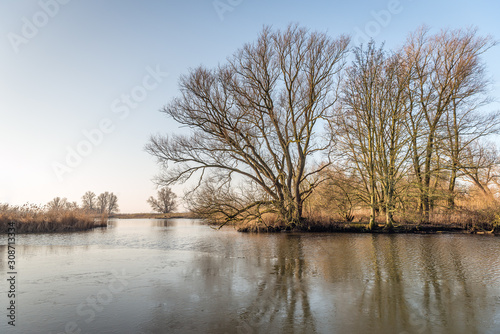 Thin layer of ice over the water surface of a creek. In the background are bare trees on the water's edge. The photo was taken at the end of the winter season in the Dutch National Park Biesbosch. © Ruud Morijn