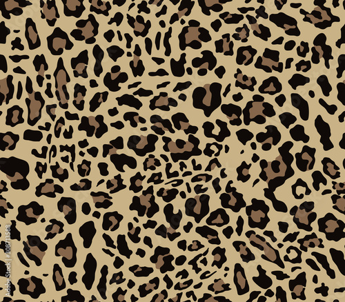 Leopard seamless vector pattern for printing clothes, fabrics. Vector. © Sanvel