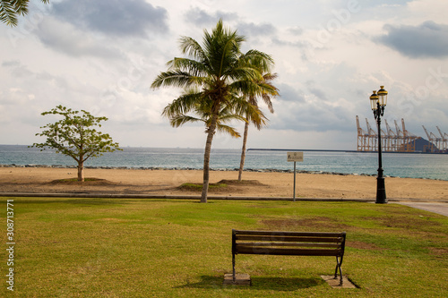 Bench, palm tree on the ocean © Сергей Луговский