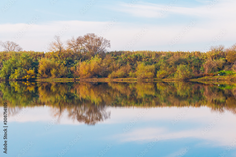 Autumn forest river reflection  landscape