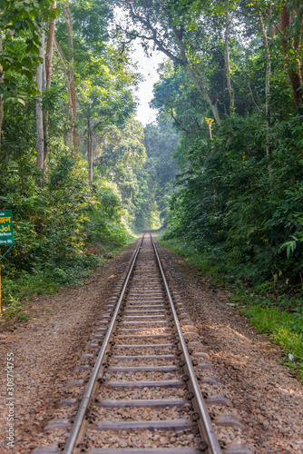 Railway over the Lawachara national park near Srimangal - Bangladesh photo