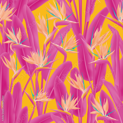 Tropical crane flower vector seamless pattern. Jungle plant paradise tropical summer fabric design. South African plant tropical blossom of crane flower, strelitzia. Floral wallpaper.