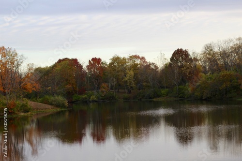 The beauty of autumn at the park on a fall evening.