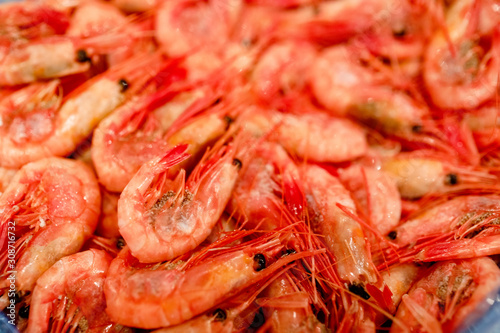 shrimps on ice