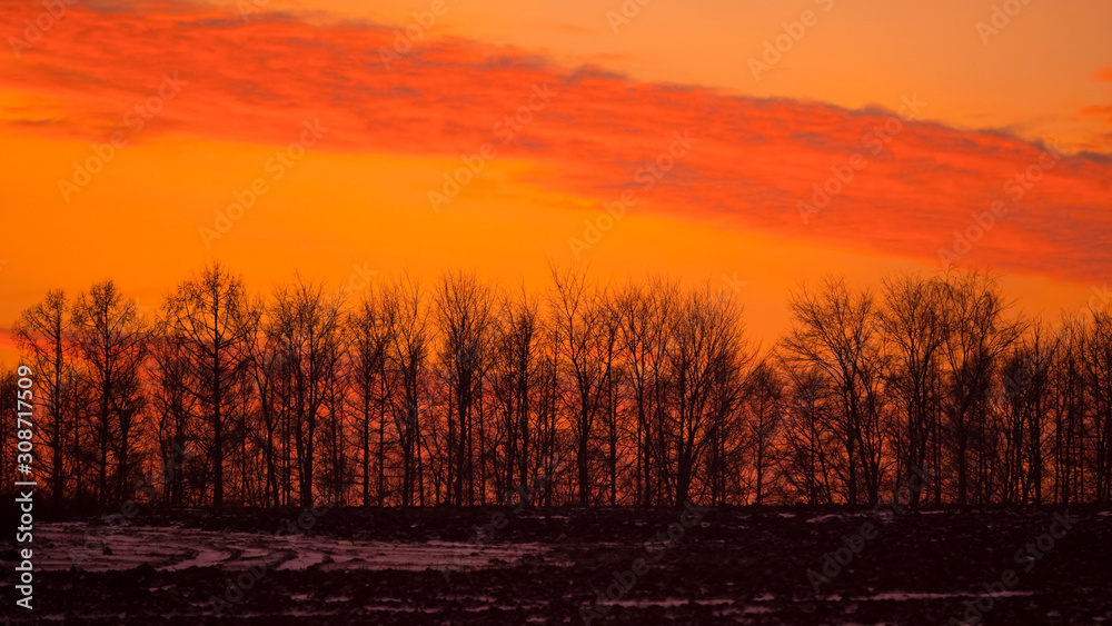 Naklejka premium Orange sky at sunset